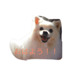 いぬのき・も・ち（個別スタンプ：3）