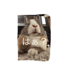 毒舌だいさま（個別スタンプ：1）