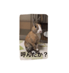 毒舌だいさま（個別スタンプ：2）