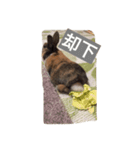 毒舌だいさま（個別スタンプ：5）