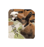 毒舌だいさま（個別スタンプ：6）
