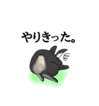モナカです 2 （黒ウサギ～悪さ多め～）（個別スタンプ：8）