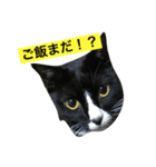 風太郎スタンプ（個別スタンプ：3）