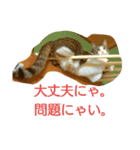 徒然もふもふスタンプ1（個別スタンプ：18）