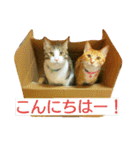 徒然もふもふスタンプ1（個別スタンプ：26）