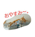 徒然もふもふスタンプ1（個別スタンプ：29）