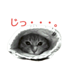 徒然もふもふスタンプ1（個別スタンプ：30）