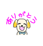 ゴールデンレトリーバーのK君（個別スタンプ：17）