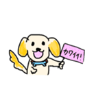 ゴールデンレトリーバーのK君（個別スタンプ：23）