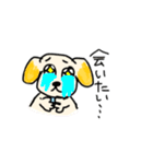 ゴールデンレトリーバーのK君（個別スタンプ：27）