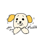 ゴールデンレトリーバーのK君（個別スタンプ：35）