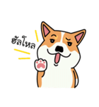 Dog in Town Gang（個別スタンプ：1）