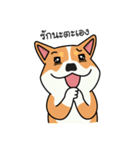 Dog in Town Gang（個別スタンプ：2）