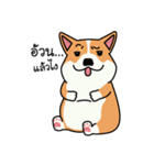 Dog in Town Gang（個別スタンプ：5）