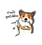 Dog in Town Gang（個別スタンプ：6）