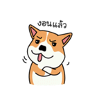 Dog in Town Gang（個別スタンプ：8）