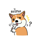 Dog in Town Gang（個別スタンプ：9）