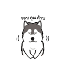 Dog in Town Gang（個別スタンプ：15）