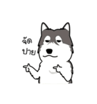 Dog in Town Gang（個別スタンプ：16）