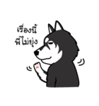 Dog in Town Gang（個別スタンプ：17）