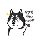 Dog in Town Gang（個別スタンプ：18）
