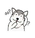 Dog in Town Gang（個別スタンプ：19）