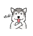 Dog in Town Gang（個別スタンプ：20）