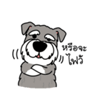 Dog in Town Gang（個別スタンプ：21）