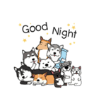Dog in Town Gang（個別スタンプ：24）
