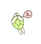 カメ星人 カメタロくんスタンプ（個別スタンプ：38）