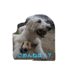 ぼくぅるぅ〜と（個別スタンプ：7）