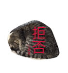 しまねこみーすけスタンプ（個別スタンプ：14）