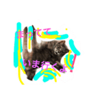 グレは猫2（個別スタンプ：2）