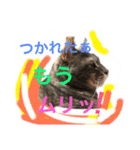 グレは猫2（個別スタンプ：5）
