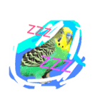 グレは猫2（個別スタンプ：6）