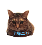 いろはにウニャ 01（個別スタンプ：2）