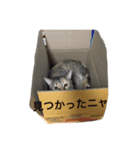 いろはにウニャ 01（個別スタンプ：7）