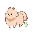 Chantelle the Fluffy pom（個別スタンプ：2）