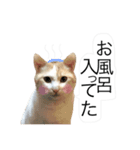 にゃろです。猫です。（個別スタンプ：5）