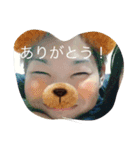 とらちゃのちゃ（個別スタンプ：1）