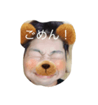 とらちゃのちゃ（個別スタンプ：3）