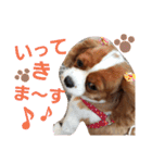キャバリア姫♡hana（個別スタンプ：10）