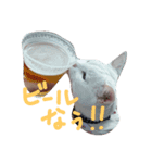 シャーちゃん001（個別スタンプ：4）