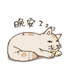 Problems？seal Cat Uncle（個別スタンプ：9）