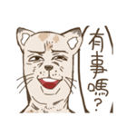 Problems？seal Cat Uncle（個別スタンプ：23）