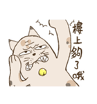 Problems？seal Cat Uncle（個別スタンプ：39）