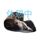 たっくんNo.2（個別スタンプ：1）