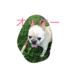 たっくんNo.2（個別スタンプ：2）