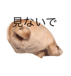 たっくんNo.2（個別スタンプ：3）