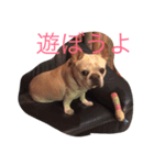 たっくんNo.2（個別スタンプ：5）
